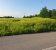 Batajnica - Prodajem plac 101 ar u Velikoj Moštanici opština Čukarica 15min od Beograda